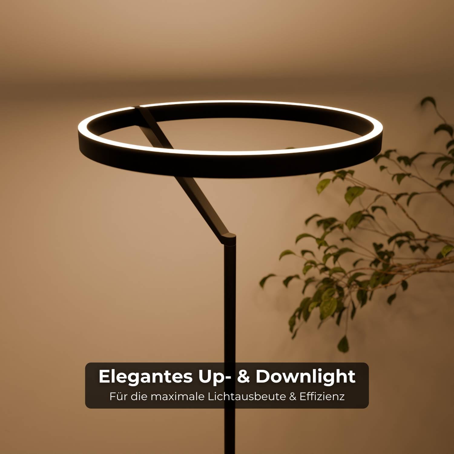 Floor Lamp | Modern Minimalist Design, Adjustable Light Ring, Smart Home Lighting Ciel Home